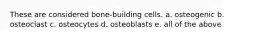 These are considered bone-building cells. a. osteogenic b. osteoclast c. osteocytes d. osteoblasts e. all of the above