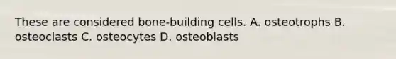 These are considered bone-building cells. A. osteotrophs B. osteoclasts C. osteocytes D. osteoblasts