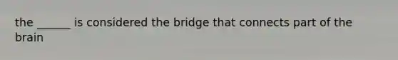 the ______ is considered the bridge that connects part of the brain