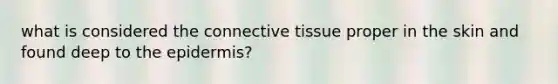 what is considered the connective tissue proper in the skin and found deep to the epidermis?