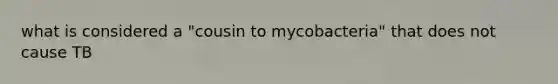 what is considered a "cousin to mycobacteria" that does not cause TB