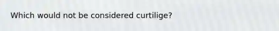 Which would not be considered curtilige?