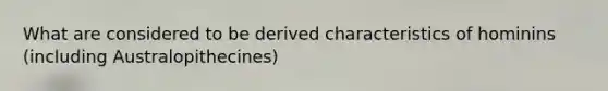 What are considered to be derived characteristics of hominins (including Australopithecines)