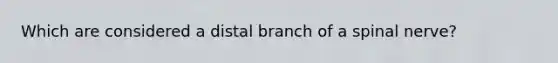 Which are considered a distal branch of a spinal nerve?