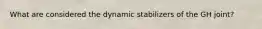 What are considered the dynamic stabilizers of the GH joint?