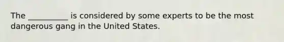 The __________ is considered by some experts to be the most dangerous gang in the United States.