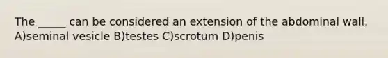 The _____ can be considered an extension of the abdominal wall. A)seminal vesicle B)testes C)scrotum D)penis