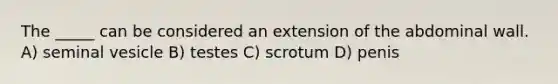 The _____ can be considered an extension of the abdominal wall. A) seminal vesicle B) testes C) scrotum D) penis