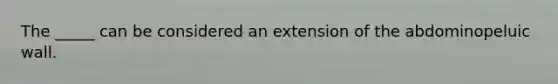 The _____ can be considered an extension of the abdominopeluic wall.