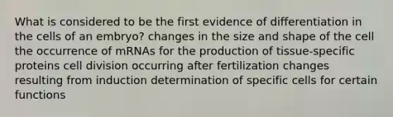 What is considered to be the first evidence of differentiation in the cells of an embryo? changes in the size and shape of the cell the occurrence of mRNAs for the production of tissue-specific proteins cell division occurring after fertilization changes resulting from induction determination of specific cells for certain functions