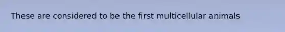 These are considered to be the first multicellular animals