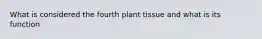 What is considered the fourth plant tissue and what is its function