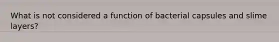 What is not considered a function of bacterial capsules and slime layers?