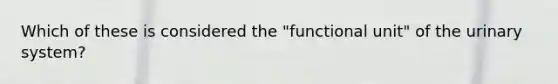 Which of these is considered the "functional unit" of the urinary system?