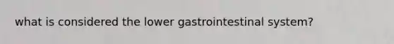 what is considered the lower gastrointestinal system?