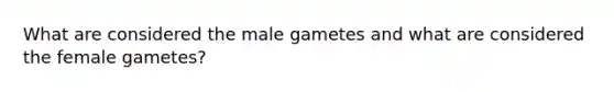 What are considered the male gametes and what are considered the female gametes?