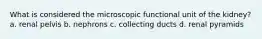 What is considered the microscopic functional unit of the kidney? a. renal pelvis b. nephrons c. collecting ducts d. renal pyramids