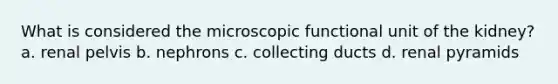 What is considered the microscopic functional unit of the kidney? a. renal pelvis b. nephrons c. collecting ducts d. renal pyramids