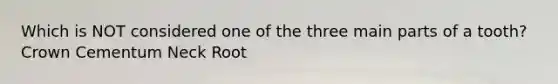 Which is NOT considered one of the three main parts of a tooth? Crown Cementum Neck Root