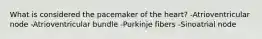 What is considered the pacemaker of the heart? -Atrioventricular node -Atrioventricular bundle -Purkinje fibers -Sinoatrial node