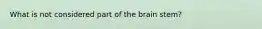 What is not considered part of the brain stem?