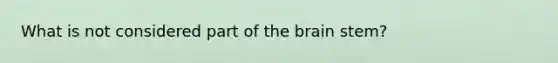 What is not considered part of <a href='https://www.questionai.com/knowledge/kLMtJeqKp6-the-brain' class='anchor-knowledge'>the brain</a> stem?