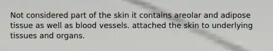 Not considered part of the skin it contains areolar and adipose tissue as well as blood vessels. attached the skin to underlying tissues and organs.