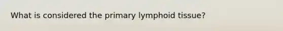 What is considered the primary lymphoid tissue?