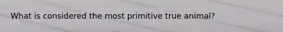 What is considered the most primitive true animal?