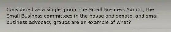 Considered as a single group, the Small Business Admin., the Small Business committees in the house and senate, and small business advocacy groups are an example of what?