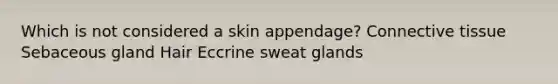 Which is not considered a skin appendage? Connective tissue Sebaceous gland Hair Eccrine sweat glands