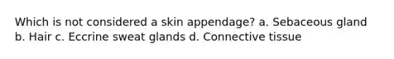 Which is not considered a skin appendage? a. Sebaceous gland b. Hair c. Eccrine sweat glands d. Connective tissue