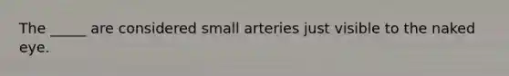 The _____ are considered small arteries just visible to the naked eye.