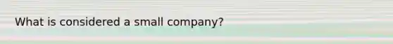 What is considered a small company?