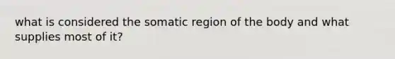 what is considered the somatic region of the body and what supplies most of it?