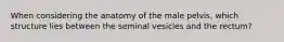 When considering the anatomy of the male pelvis, which structure lies between the seminal vesicles and the rectum?