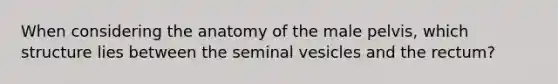 When considering the anatomy of the male pelvis, which structure lies between the seminal vesicles and the rectum?