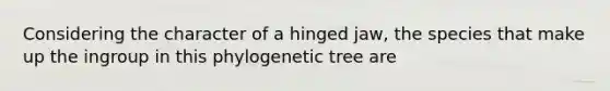 Considering the character of a hinged jaw, the species that make up the ingroup in this phylogenetic tree are