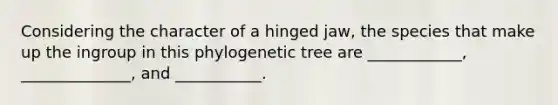 Considering the character of a hinged jaw, the species that make up the ingroup in this phylogenetic tree are ____________, ______________, and ___________.