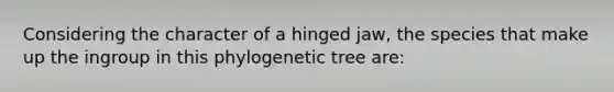 Considering the character of a hinged jaw, the species that make up the ingroup in this phylogenetic tree are: