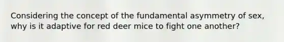 Considering the concept of the fundamental asymmetry of sex, why is it adaptive for red deer mice to fight one another?