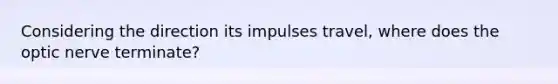 Considering the direction its impulses travel, where does the optic nerve terminate?