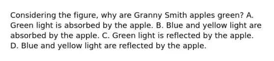 Considering the figure, why are Granny Smith apples green? A. Green light is absorbed by the apple. B. Blue and yellow light are absorbed by the apple. C. Green light is reflected by the apple. D. Blue and yellow light are reflected by the apple.