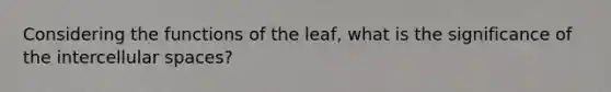 Considering the functions of the leaf, what is the significance of the intercellular spaces?