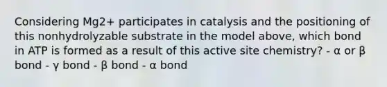 Considering Mg2+ participates in catalysis and the positioning of this nonhydrolyzable substrate in the model above, which bond in ATP is formed as a result of this active site chemistry? - α or β bond - γ bond - β bond - α bond