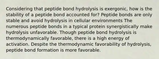 Considering that peptide bond hydrolysis is exergonic, how is the stability of a peptide bond accounted for? Peptide bonds are only stable and avoid hydrolysis in cellular environments The numerous peptide bonds in a typical protein synergistically make hydrolysis unfavorable. Though peptide bond hydrolysis is thermodynamically favorable, there is a high energy of activation. Despite the thermodynamic favorability of hydrolysis, peptide bond formation is more favorable.