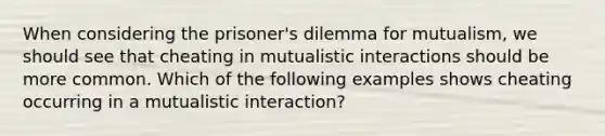 When considering the prisoner's dilemma for mutualism, we should see that cheating in mutualistic interactions should be more common. Which of the following examples shows cheating occurring in a mutualistic interaction?