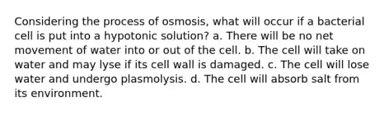 Considering the process of osmosis, what will occur if a bacterial cell is put into a hypotonic solution? a. There will be no net movement of water into or out of the cell. b. The cell will take on water and may lyse if its cell wall is damaged. c. The cell will lose water and undergo plasmolysis. d. The cell will absorb salt from its environment.