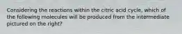 Considering the reactions within the citric acid cycle, which of the following molecules will be produced from the intermediate pictured on the right?