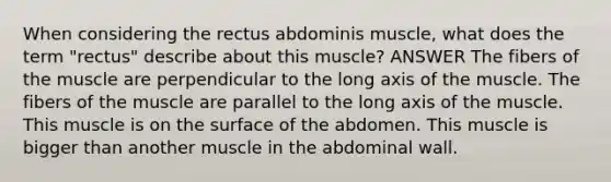 When considering the rectus abdominis muscle, what does the term "rectus" describe about this muscle? ANSWER The fibers of the muscle are perpendicular to the long axis of the muscle. The fibers of the muscle are parallel to the long axis of the muscle. This muscle is on the surface of the abdomen. This muscle is bigger than another muscle in the abdominal wall.